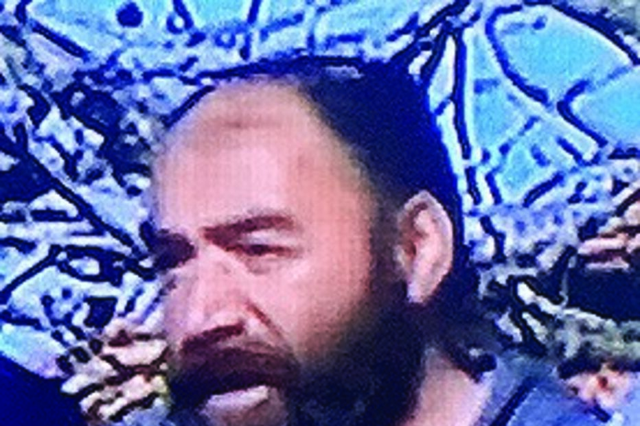 incendiário, verão, casa, bombeiro, Oliveira de Azeméis