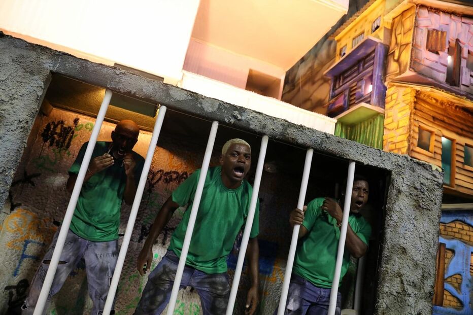 carnaval, campeã, rio de janeiro, brasil, Beija-flor