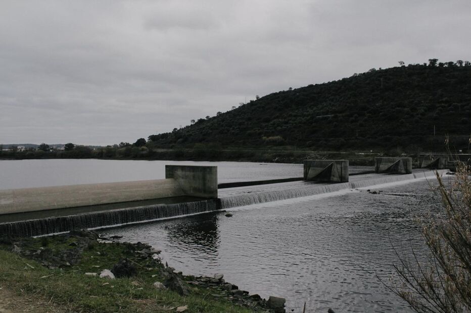 Pescadores retomaram ao rio Tejo 
