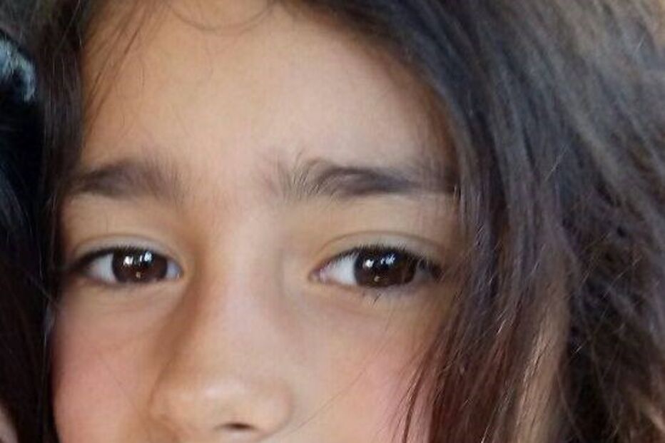 Maëlys Araújo, crime, frança