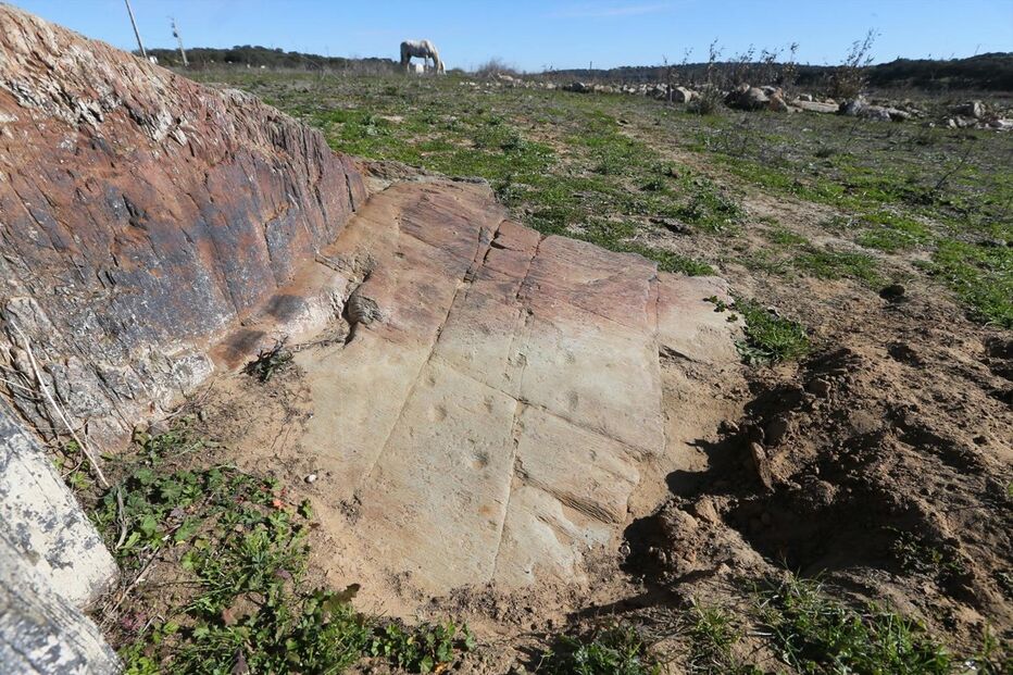 Gravuras de arte rupestre descobertas no Rio Guadiana, em Elvas