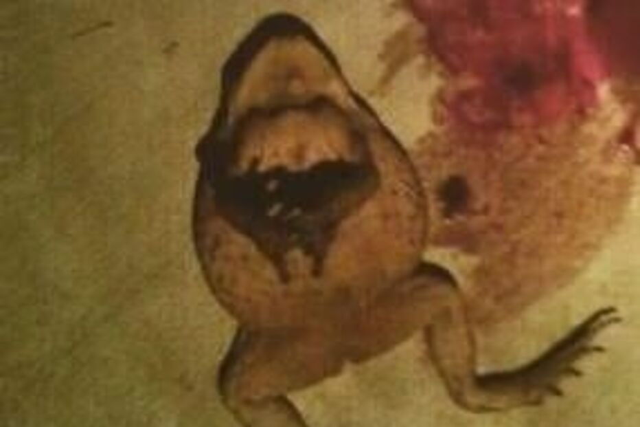 Nikolas Cruz mostrava-se muito violento nas redes sociais