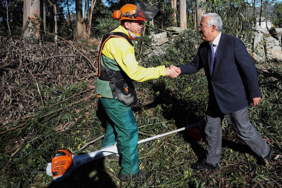 António costa, incêndios, floresta
