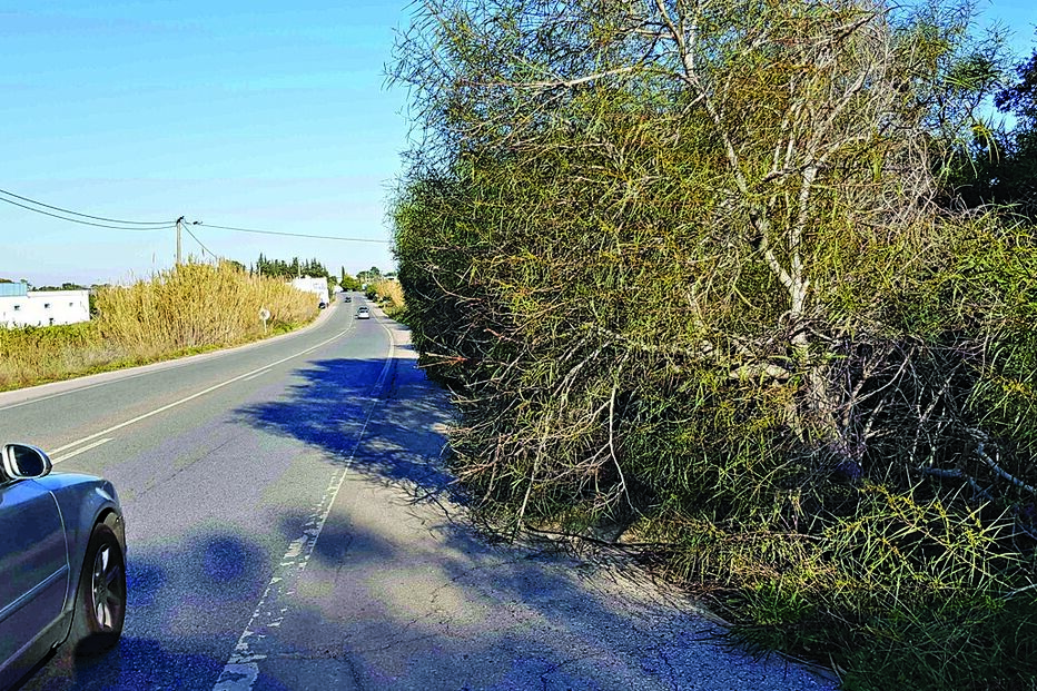 União de Freguesias de Moncarapacho e Fuseta divulgou fotos a ilustrar a situação juntamente com a denúncia 