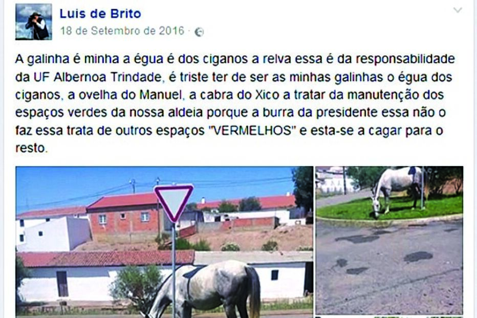 Mensagem era ilustrada com burros nos jardins 