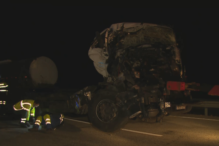 Colisão entre camiões mata sete vacas na A23 