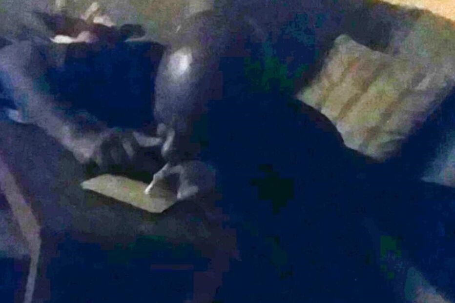 Padre filmado a consumir drogas enquanto vê pornografia