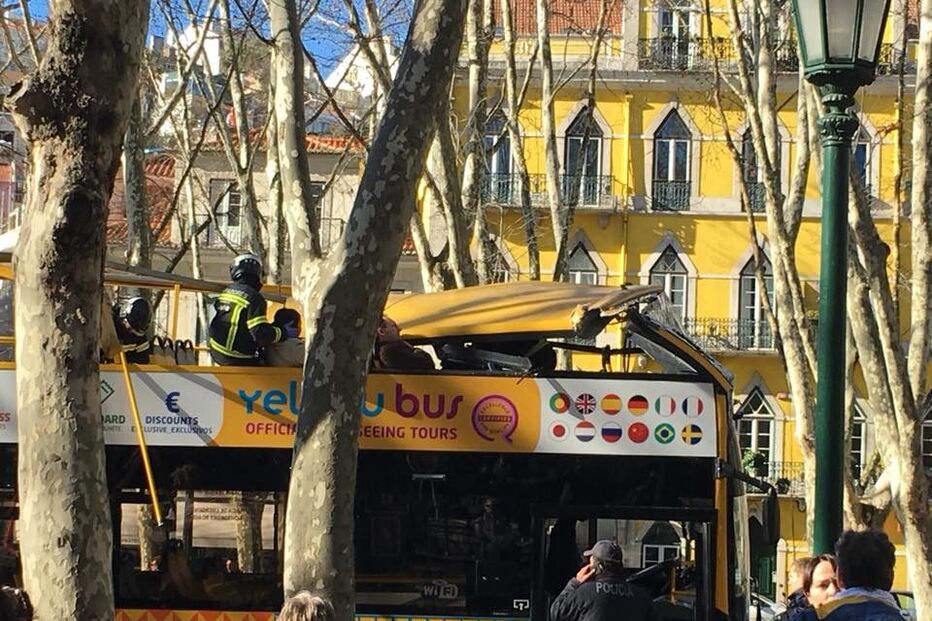 Autocarro com turistas choca com árvore da Avenida da Liberdade