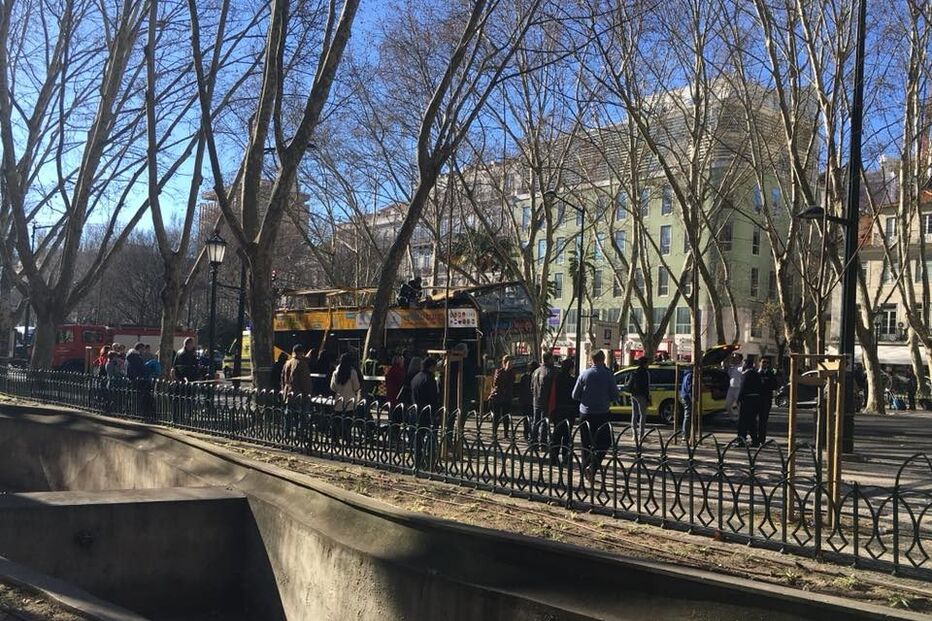 Autocarro com turistas choca com árvore da Avenida da Liberdade