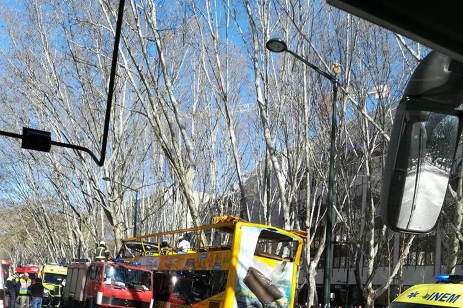 Autocarro com turistas choca com árvore da Avenida da Liberdade