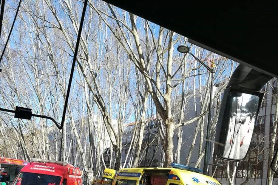 Autocarro com turistas choca com árvore da Avenida da Liberdade