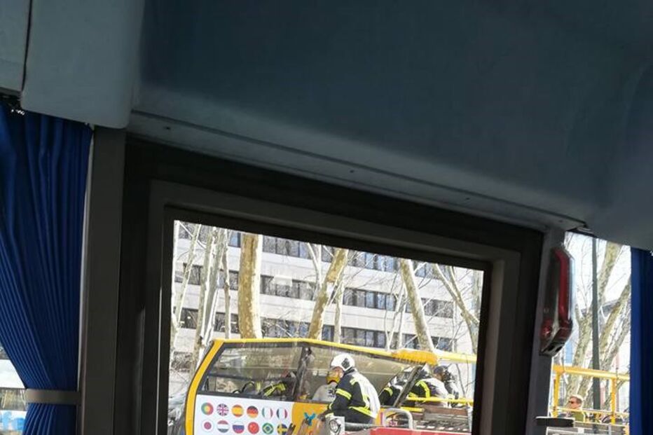 Autocarro com turistas choca com árvore da Avenida da Liberdade