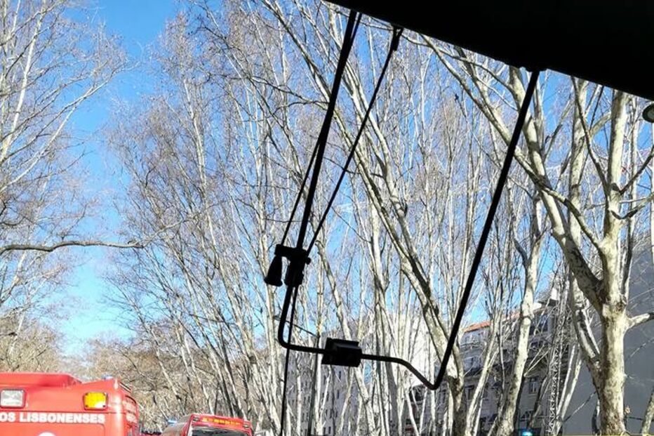 Autocarro com turistas choca com árvore da Avenida da Liberdade