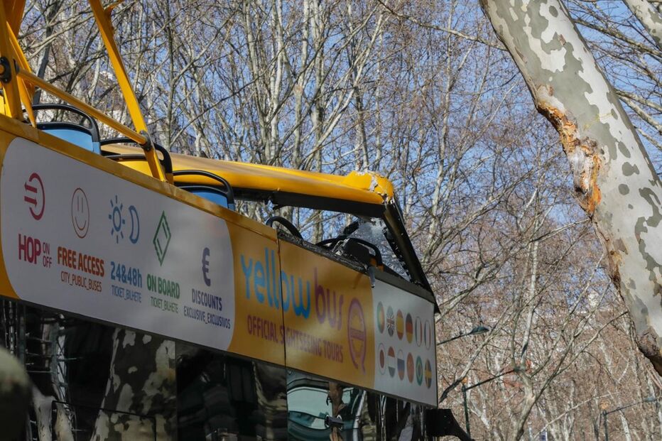  Autocarro com turistas choca com árvore da Avenida da Liberdade