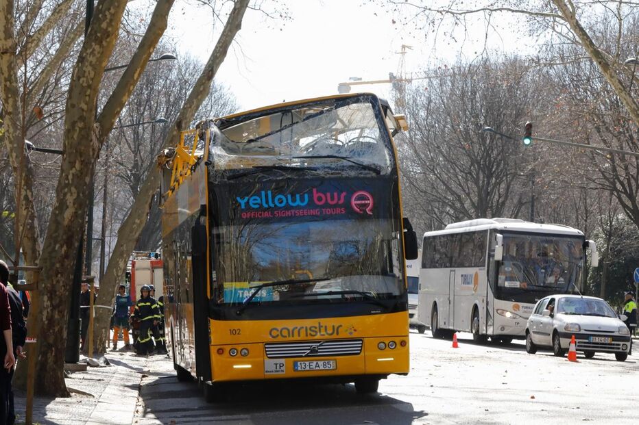  Autocarro com turistas choca com árvore da Avenida da Liberdade
