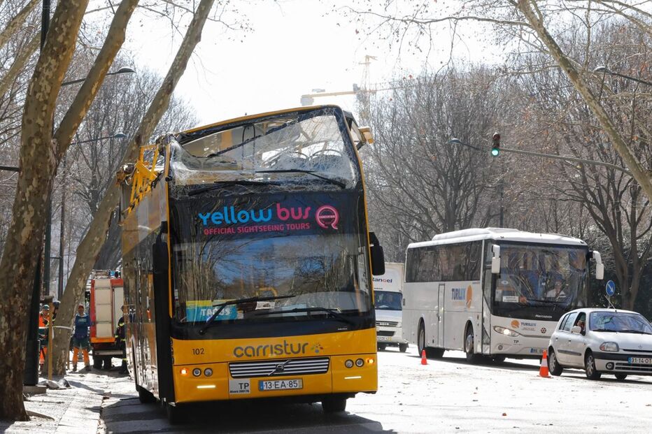  Autocarro com turistas choca com árvore da Avenida da Liberdade