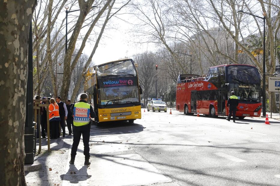  Autocarro com turistas choca com árvore da Avenida da Liberdade