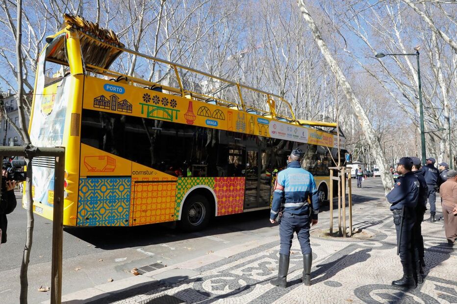  Autocarro com turistas choca com árvore da Avenida da Liberdade
