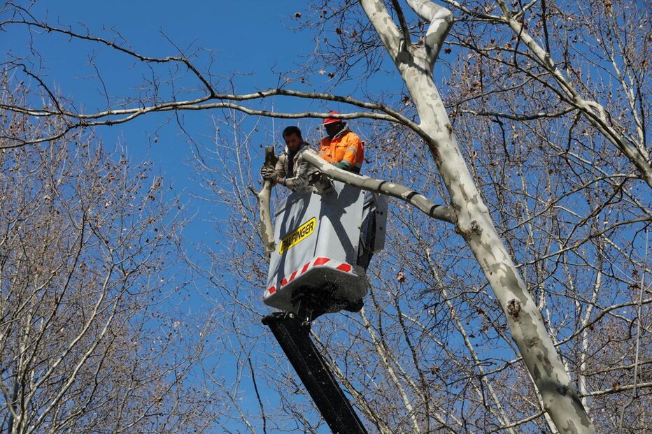  Autocarro com turistas choca com árvore da Avenida da Liberdade