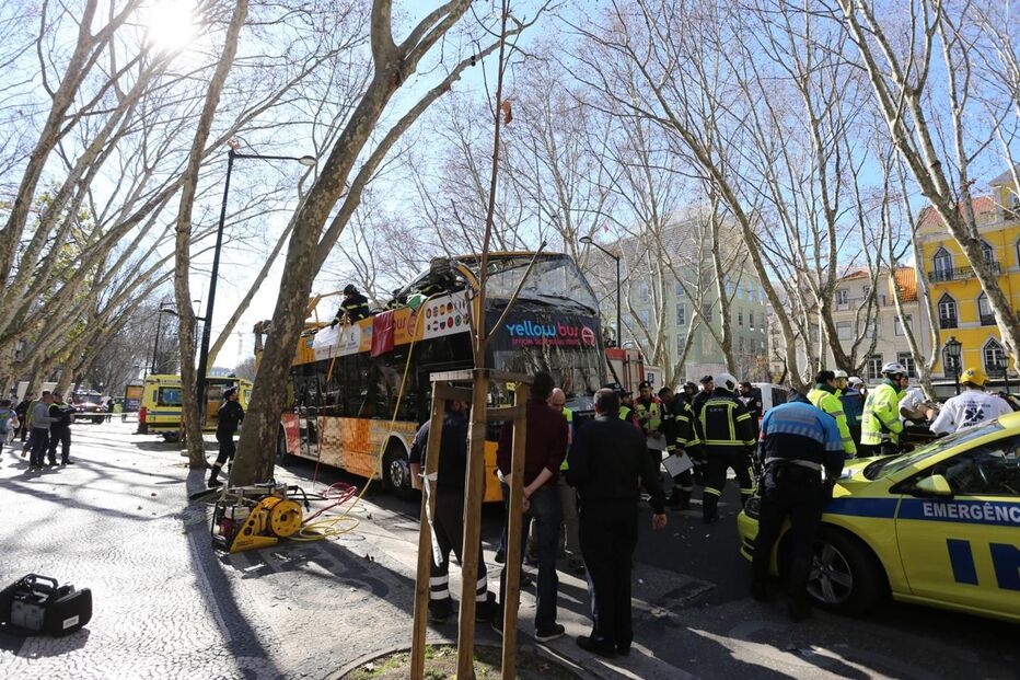 Autocarro com turistas choca com árvore da Avenida da Liberdade