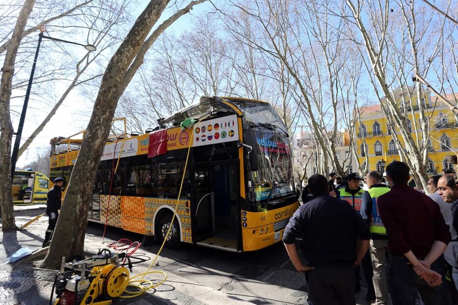 Autocarro com turistas choca com árvore da Avenida da Liberdade