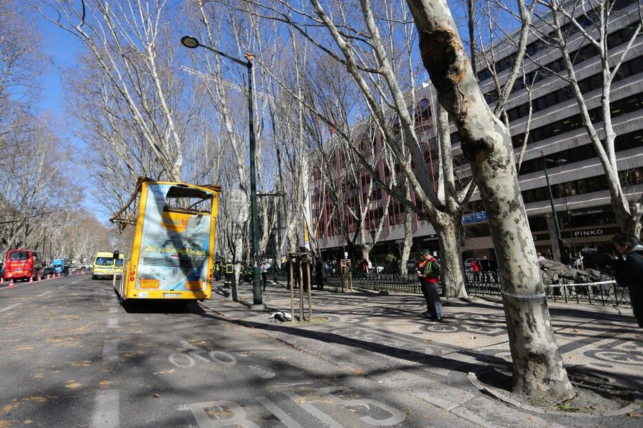 Autocarro com turistas choca com árvore da Avenida da Liberdade