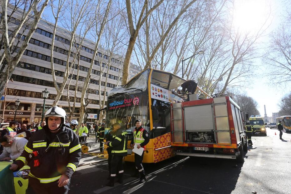 Autocarro com turistas choca com árvore da Avenida da Liberdade