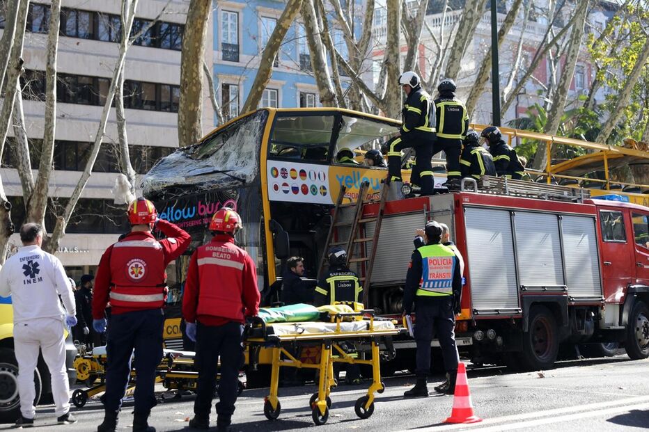 Autocarro com turistas choca com árvore da Avenida da Liberdade