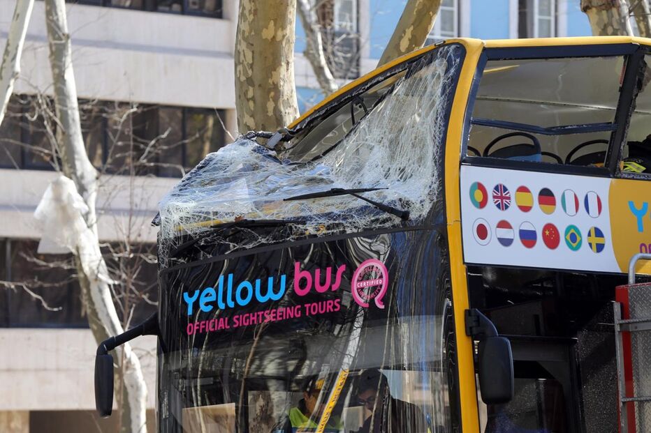 Autocarro com turistas choca com árvore da Avenida da Liberdade