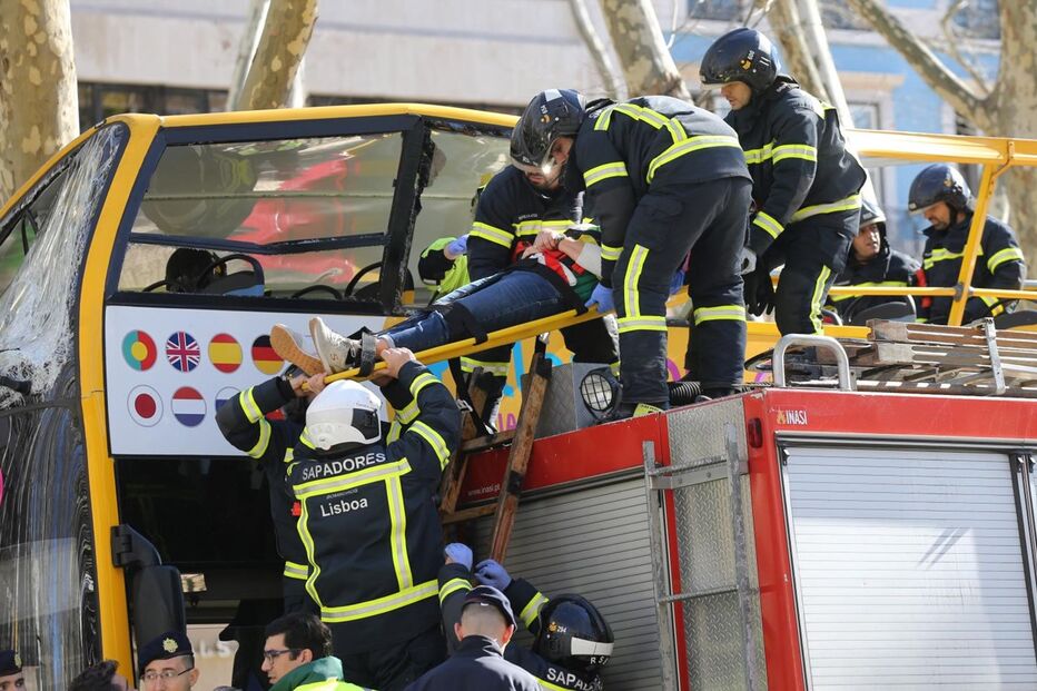 Autocarro com turistas choca com árvore da Avenida da Liberdade