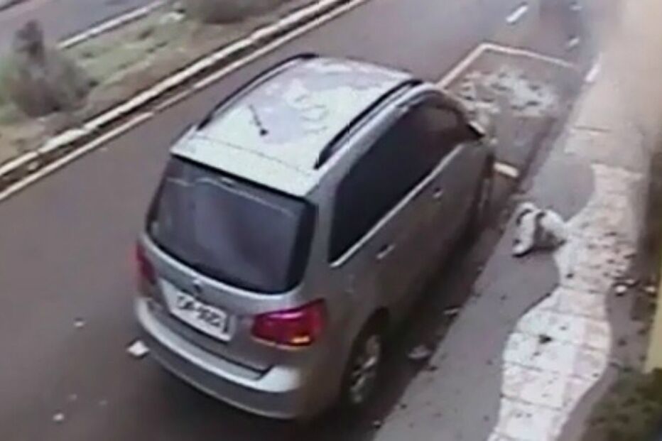 Cão, animal, França, acidente