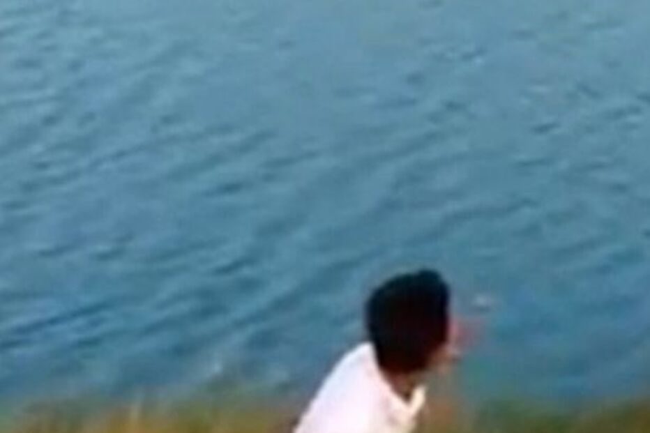 Cão bebé é devorado por crocodilo após homem o atirar a lago