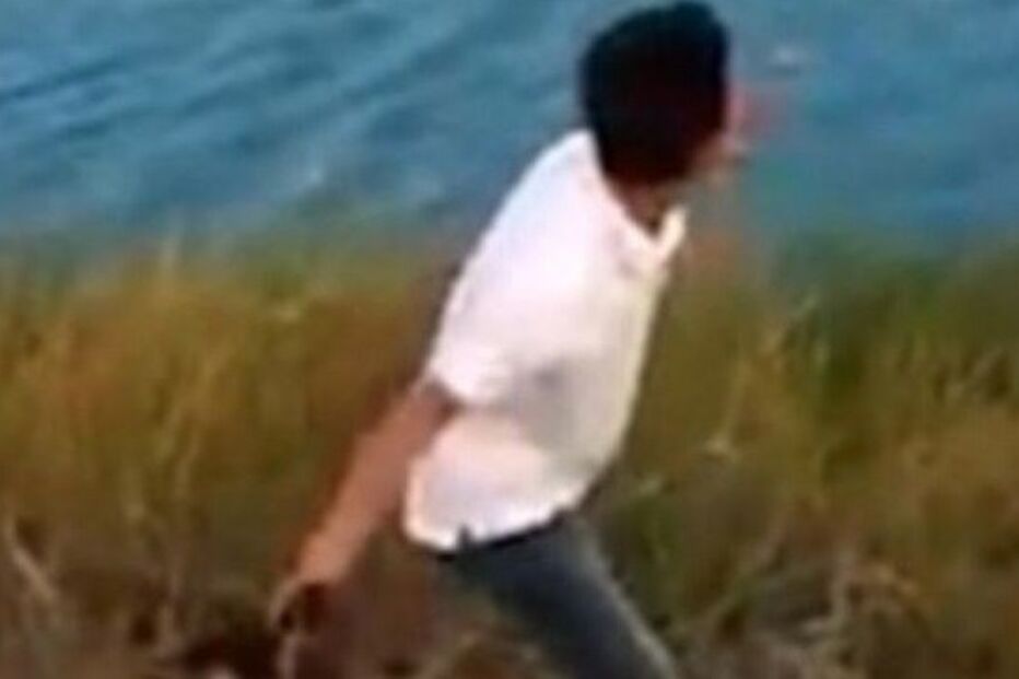 Cão bebé é devorado por crocodilo após homem o atirar a lago