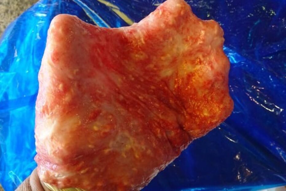 Homem usou tamboril para se masturbar