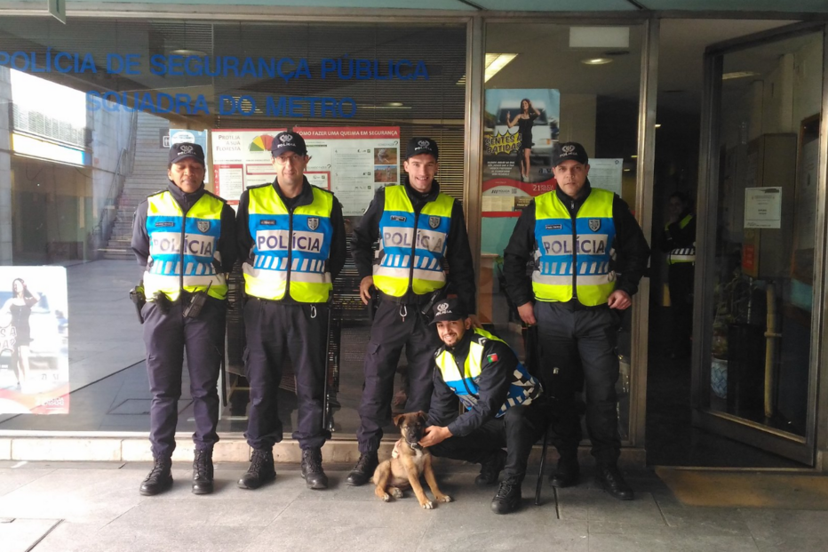 Animal foi resgatado pelos agentes da PSP que estavam de serviço