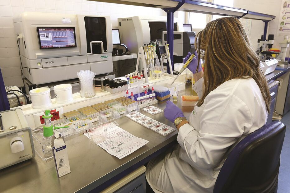 Diagnóstico da hemofilia  é realizado  através  de análises sanguíneas