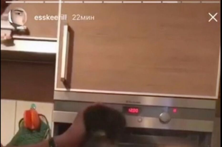 Kirill Beryozin surge a torturar o seu gato de estimação no forno