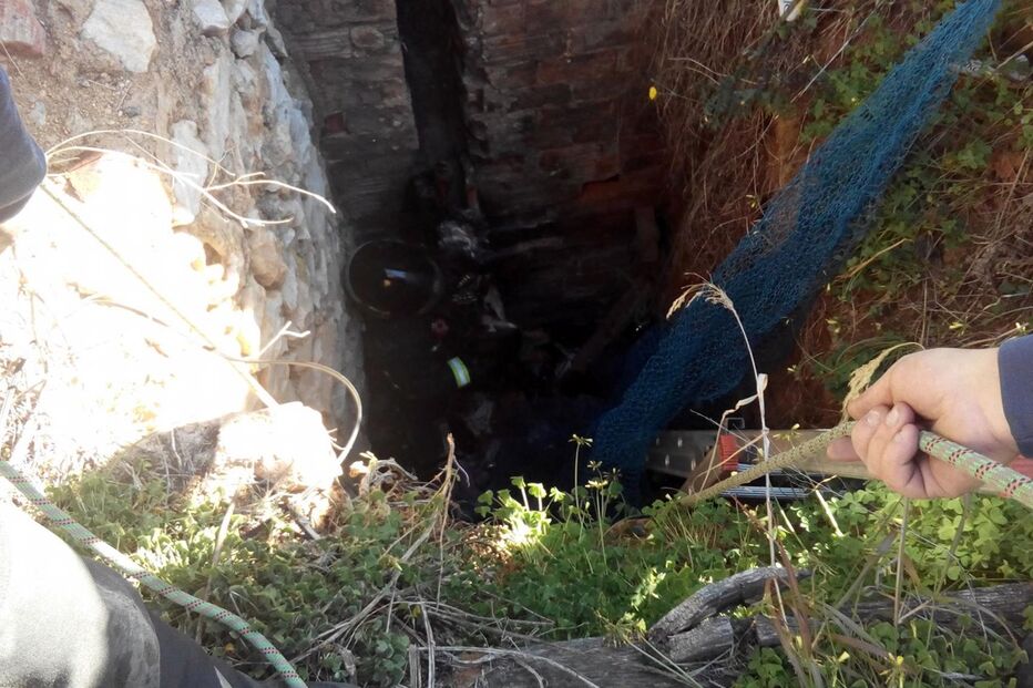 Cão resgatado de poço em Faro