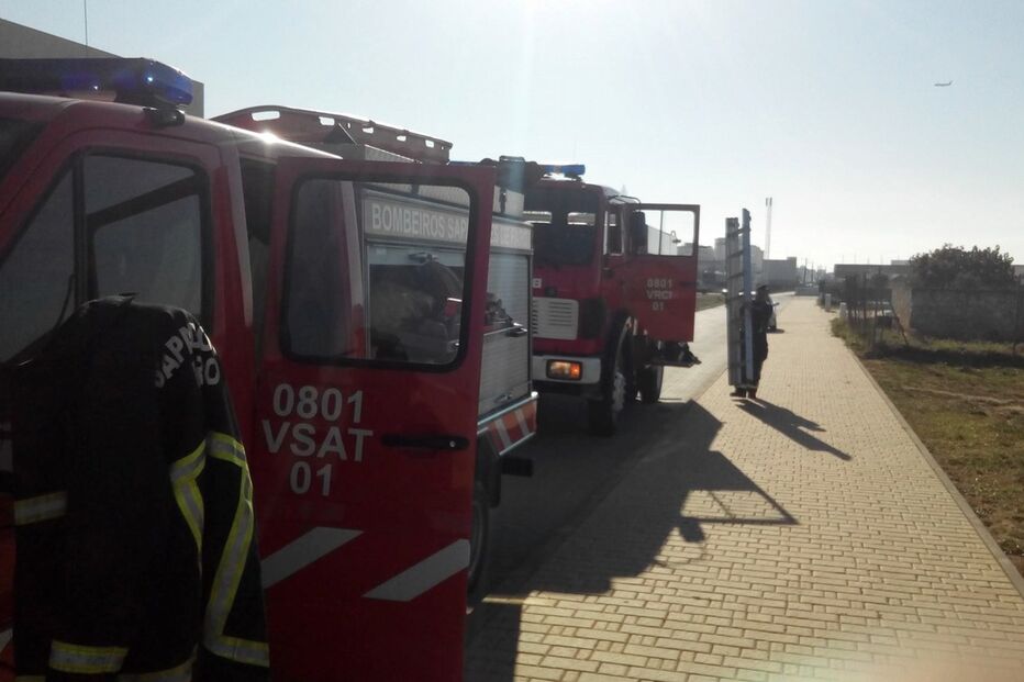 Cão resgatado de poço em Faro