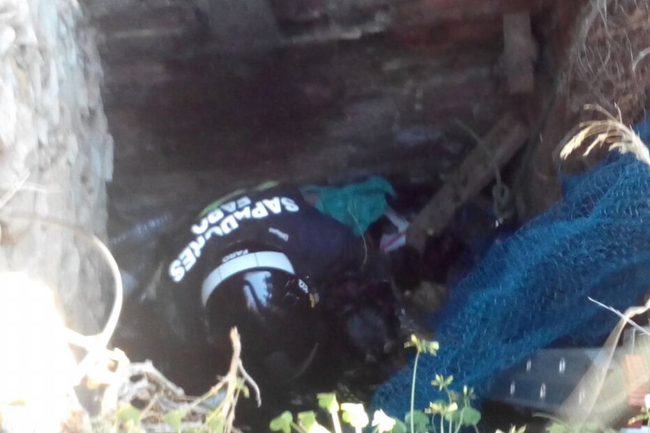 Cão resgatado de poço em Faro