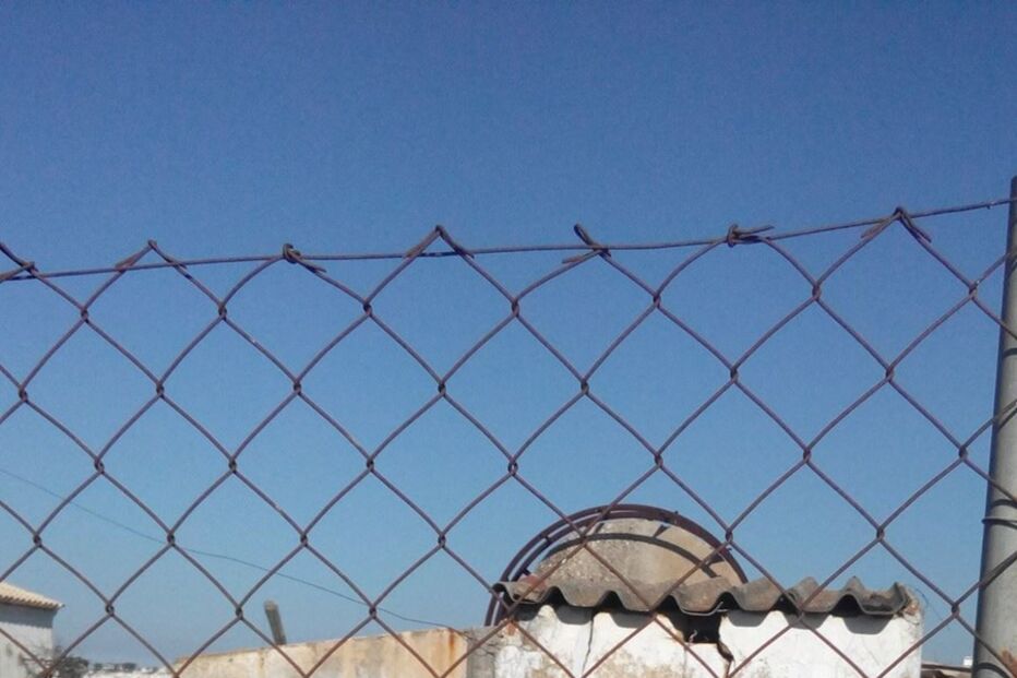 Cão resgatado de poço em Faro