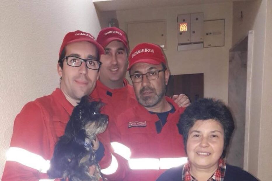 Cão salvo de elevador