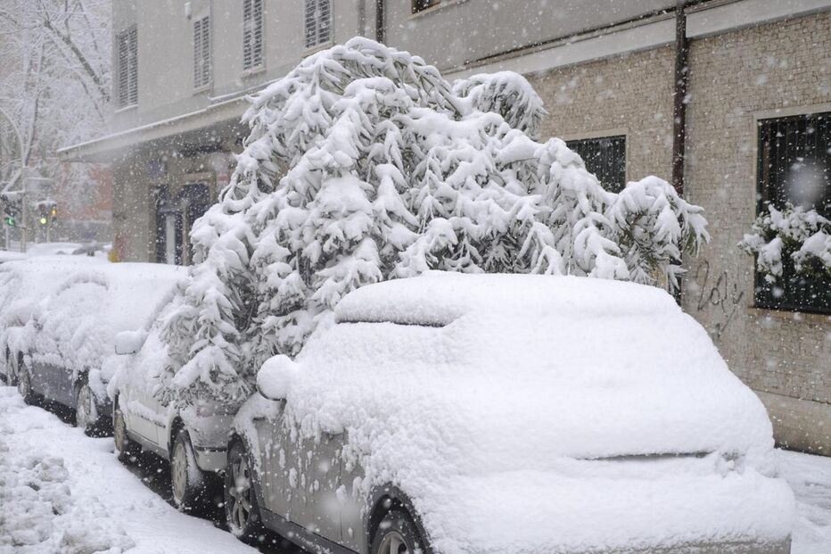 2018-02-26_11_22.46 15618917.JPG