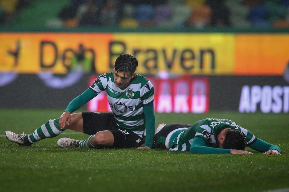 Sporting, Moreirense, futebol, desporto