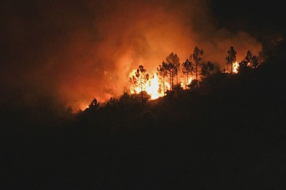 Incêndio em Caminha