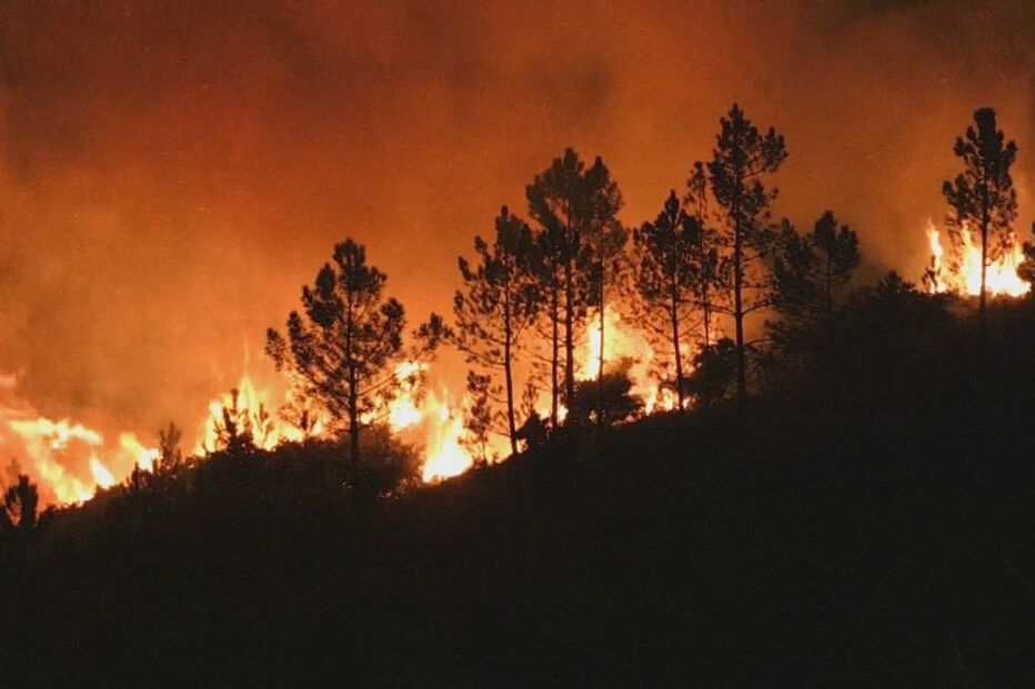 Incêndio em Caminha