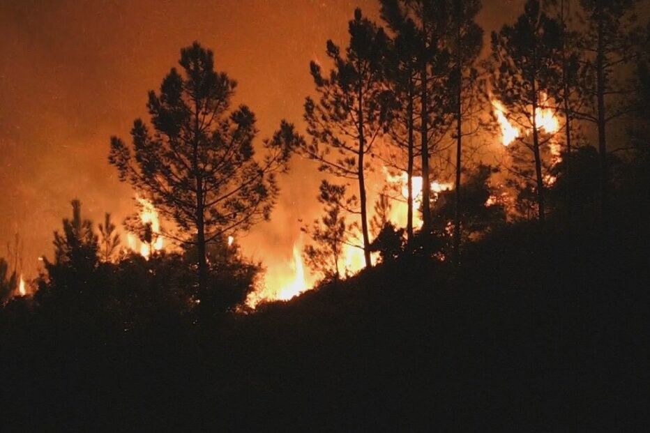 Incêndio em Caminha