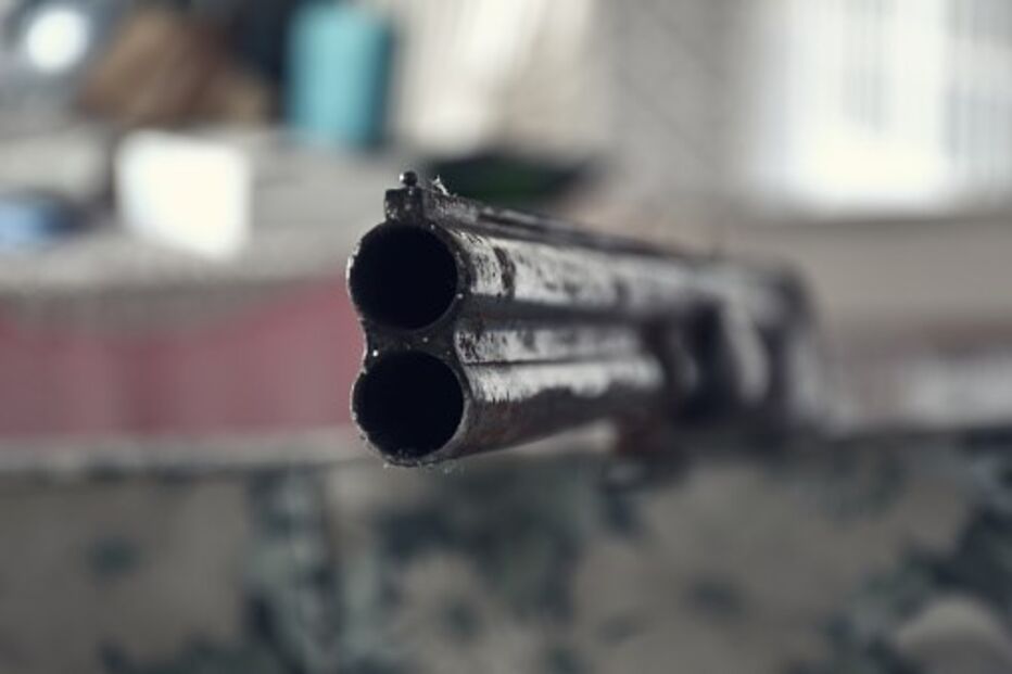 Arma, caçadeira, tiro, disparo