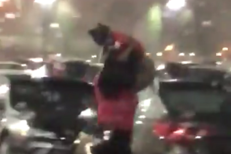 Chuva, Insólito, Guarda-chuva 