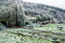 Neve no vale da Campeã